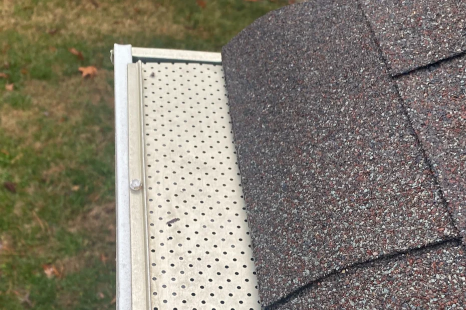 Gutter Cleaning Maitland